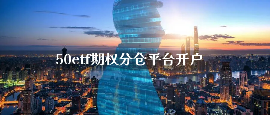 50etf期权分仓平台开户_https://www.sjzjsgy.com_期货公司_第1张