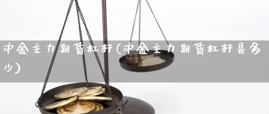 沪金主力期货杠杆(沪金主力期货杠杆是多少)_https://www.sjzjsgy.com_外汇_第1张