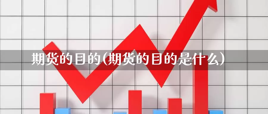 期货的目的(期货的目的是什么)_https://www.sjzjsgy.com_股指期货_第1张