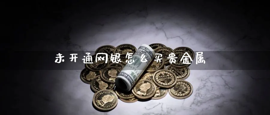 未开通网银怎么买贵金属_https://www.sjzjsgy.com_期货代理_第1张