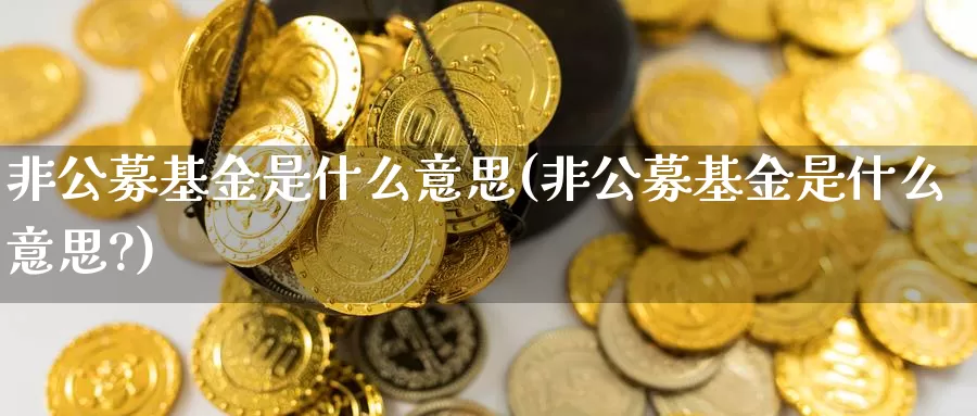 非公募基金是什么意思(非公募基金是什么意思?)_https://www.sjzjsgy.com_期货公司_第1张