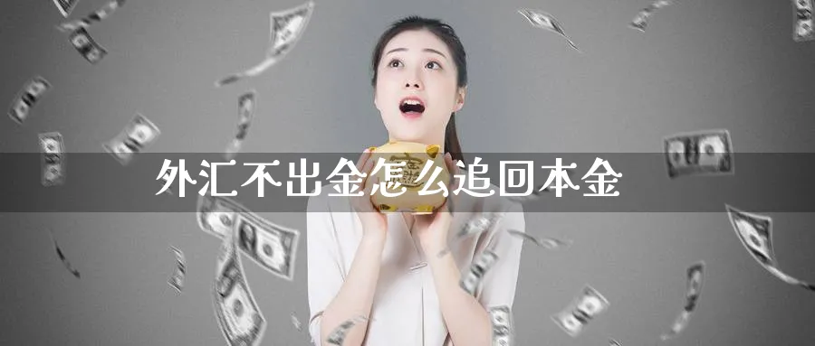 外汇不出金怎么追回本金_https://www.sjzjsgy.com_外汇市场_第1张