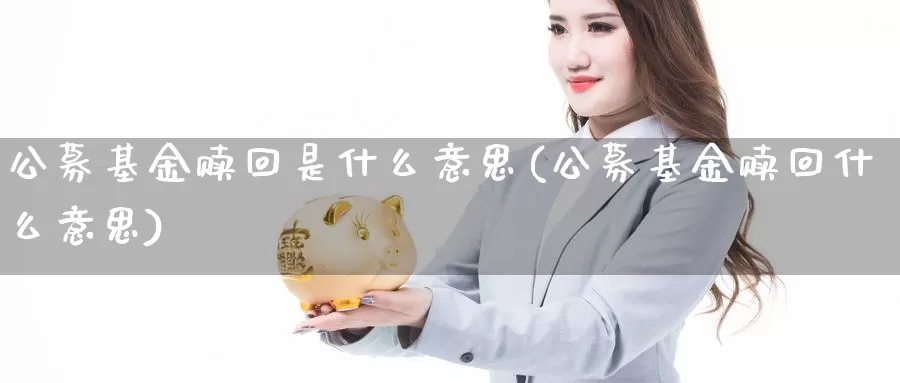 公募基金赎回是什么意思(公募基金赎回什么意思)_https://www.sjzjsgy.com_商品期货_第1张