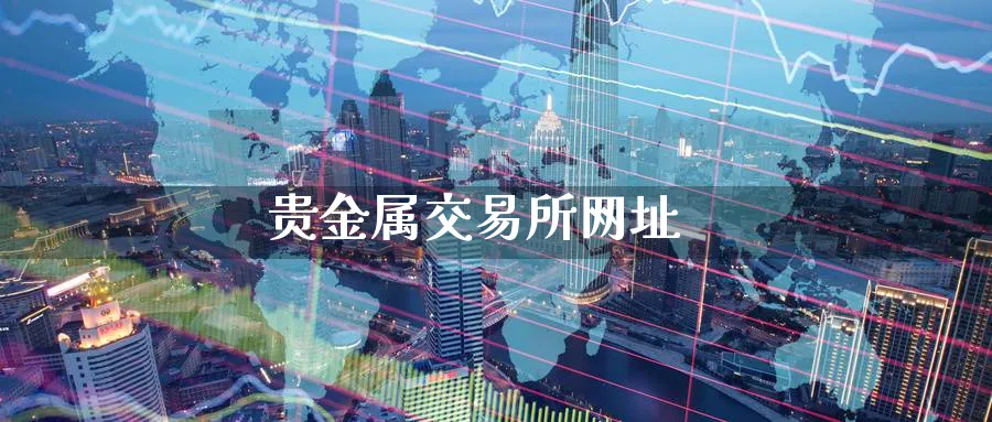 贵金属交易所网址_https://www.sjzjsgy.com_期货公司_第1张