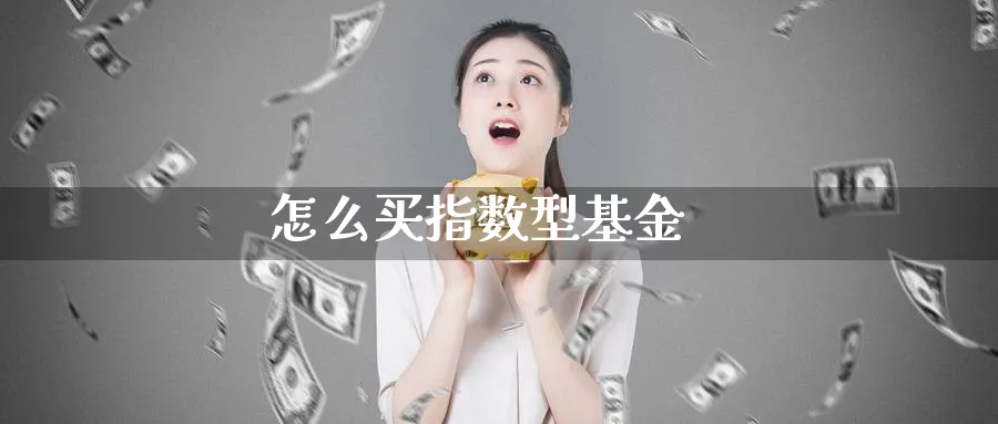 怎么买指数型基金_https://www.sjzjsgy.com_外汇市场_第1张