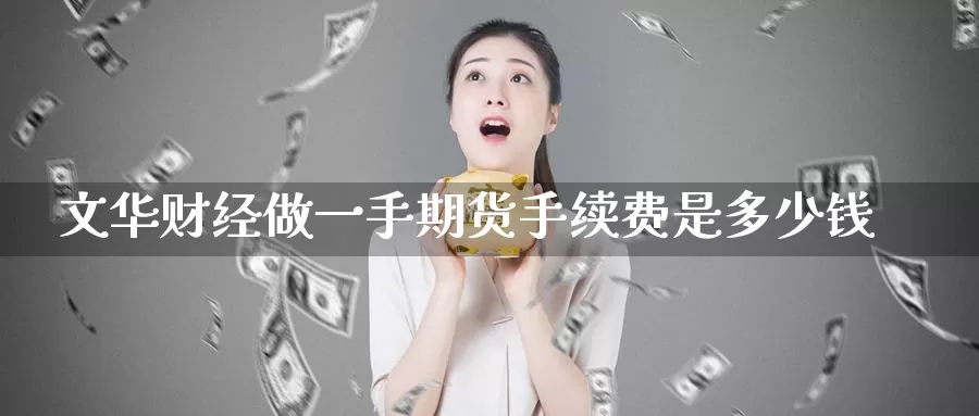 文华财经做一手期货手续费是多少钱_https://www.sjzjsgy.com_期货代理_第1张