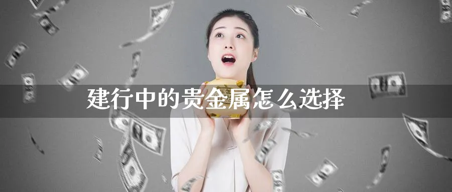 建行中的贵金属怎么选择_https://www.sjzjsgy.com_期货入门_第1张