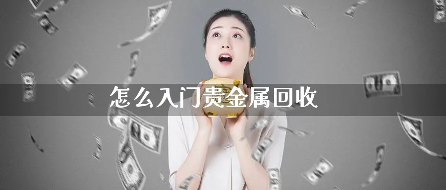 怎么入门贵金属回收_https://www.sjzjsgy.com_期货公司_第1张