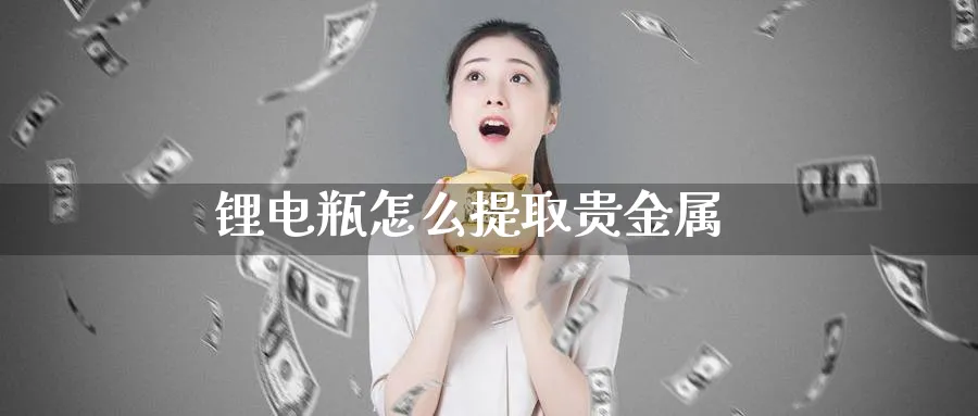 锂电瓶怎么提取贵金属_https://www.sjzjsgy.com_期货行情_第1张