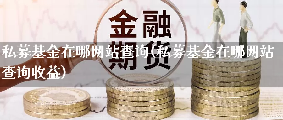 私募基金在哪网站查询(私募基金在哪网站查询收益)_https://www.sjzjsgy.com_外汇_第1张