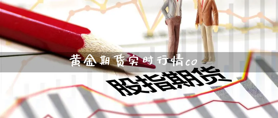 黄金期货实时行情co_https://www.sjzjsgy.com_期货入门_第1张