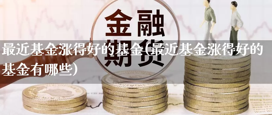 最近基金涨得好的基金(最近基金涨得好的基金有哪些)_https://www.sjzjsgy.com_期货代理_第1张