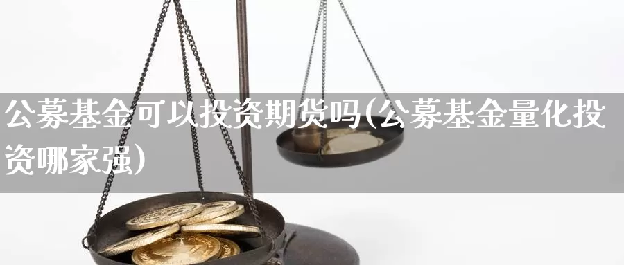 公募基金可以投资期货吗(公募基金量化投资哪家强)_https://www.sjzjsgy.com_期货公司_第1张