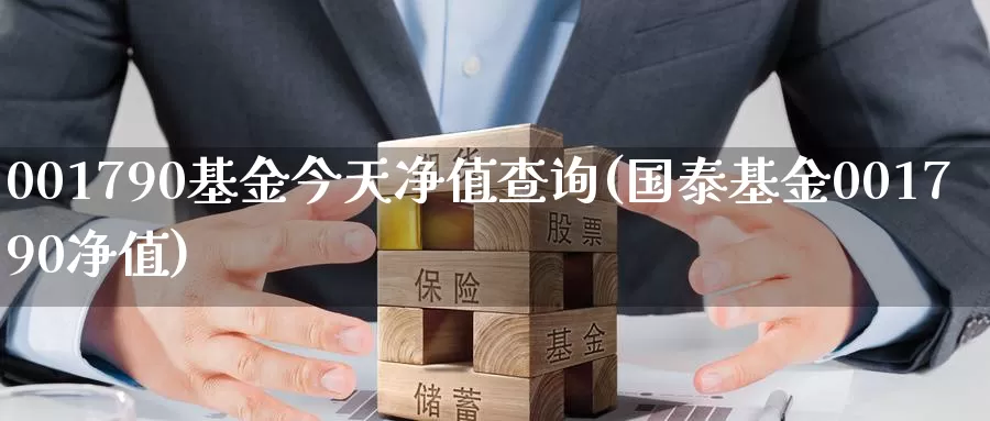 001790基金今天净值查询(国泰基金001790净值)_https://www.sjzjsgy.com_商品期货_第1张