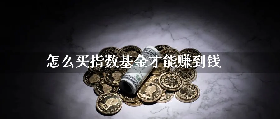 怎么买指数基金才能赚到钱_https://www.sjzjsgy.com_期货入门_第1张