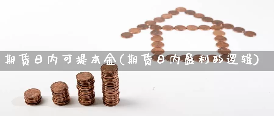 期货日内可提本金(期货日内盈利的逻辑)_https://www.sjzjsgy.com_期货公司_第1张