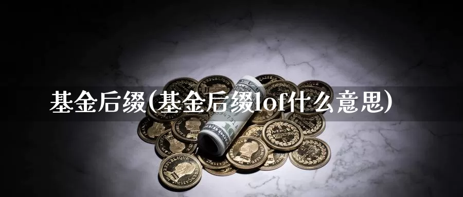 基金后缀(基金后缀lof什么意思)_https://www.sjzjsgy.com_期货百科_第1张