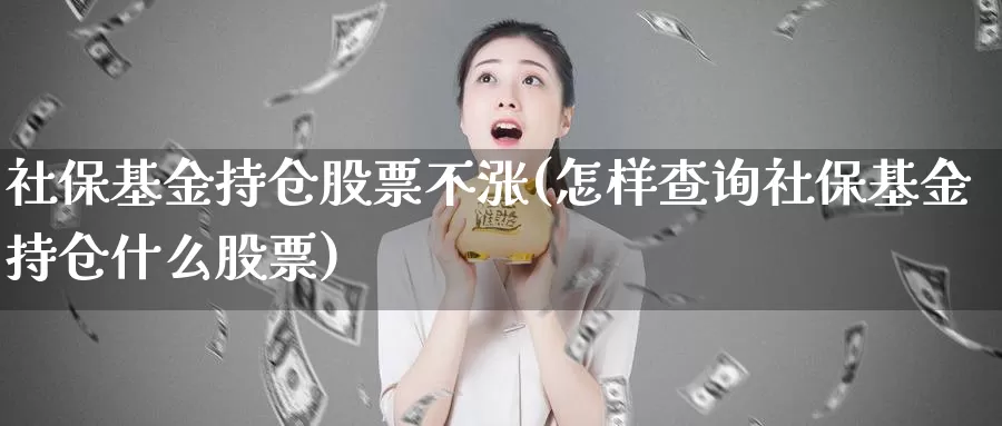 社保基金持仓股票不涨(怎样查询社保基金持仓什么股票)_https://www.sjzjsgy.com_期货市场_第1张