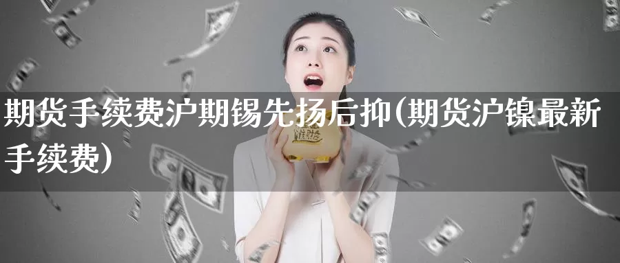 期货手续费沪期锡先扬后抑(期货沪镍最新手续费)_https://www.sjzjsgy.com_外汇市场_第1张