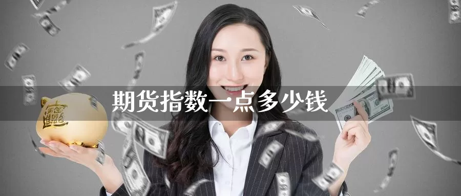 期货指数一点多少钱_https://www.sjzjsgy.com_期货公司_第1张