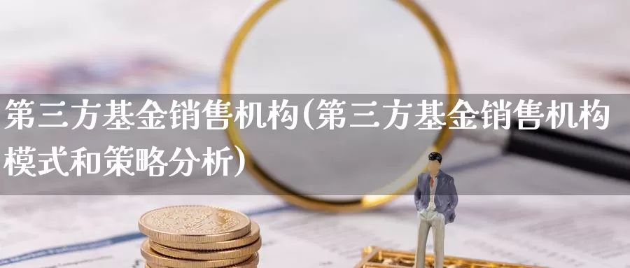 第三方基金销售机构(第三方基金销售机构模式和策略分析)_https://www.sjzjsgy.com_期货代理_第1张