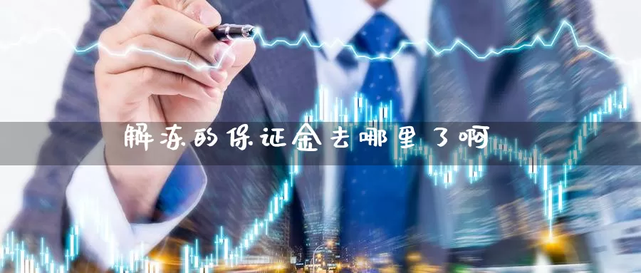 解冻的保证金去哪里了啊_https://www.sjzjsgy.com_期货代理_第1张