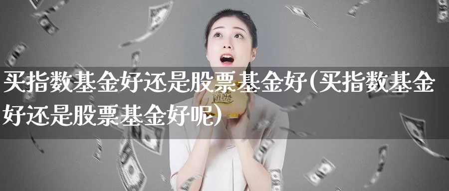 买指数基金好还是股票基金好(买指数基金好还是股票基金好呢)_https://www.sjzjsgy.com_期货百科_第1张