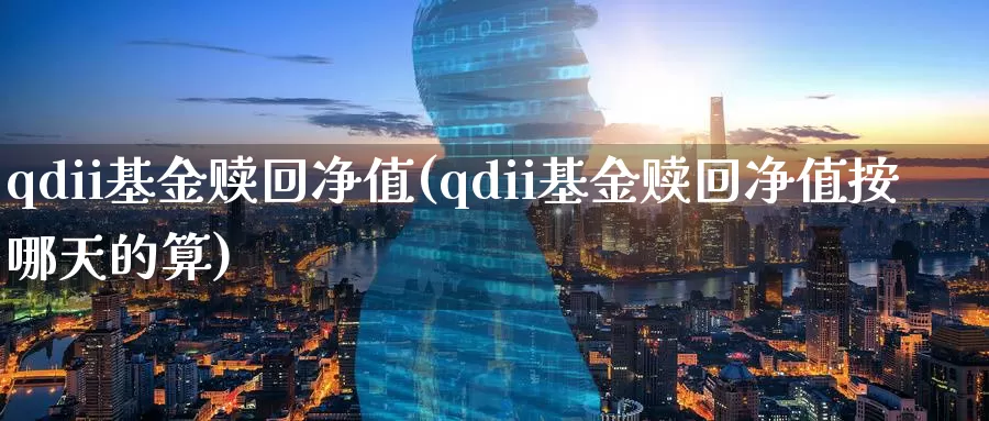 qdii基金赎回净值(qdii基金赎回净值按哪天的算)_https://www.sjzjsgy.com_期货入门_第1张