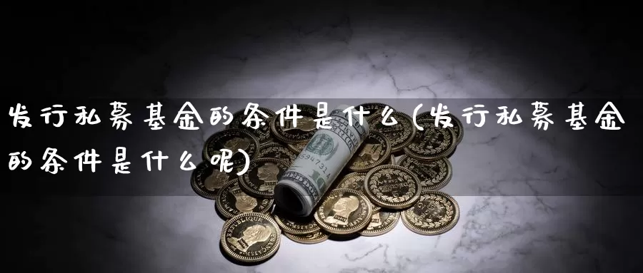 发行私募基金的条件是什么(发行私募基金的条件是什么呢)_https://www.sjzjsgy.com_外汇市场_第1张