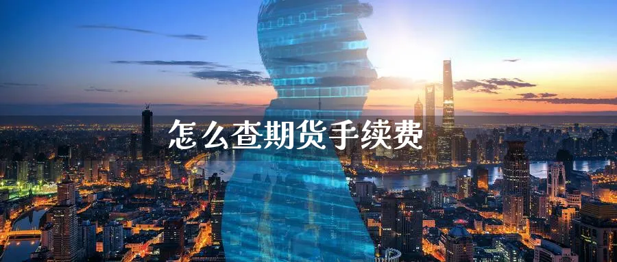 怎么查期货手续费_https://www.sjzjsgy.com_期货代理_第1张