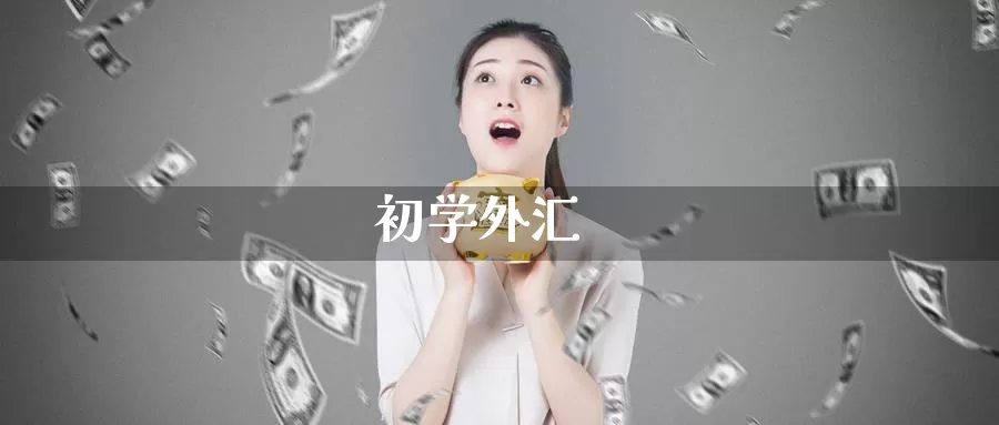 初学外汇_https://www.sjzjsgy.com_期货代理_第1张