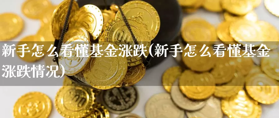 新手怎么看懂基金涨跌(新手怎么看懂基金涨跌情况)_https://www.sjzjsgy.com_股指期货_第1张