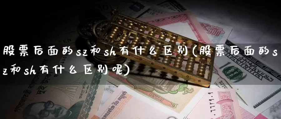 股票后面的sz和sh有什么区别(股票后面的sz和sh有什么区别呢)_https://www.sjzjsgy.com_期货市场_第1张