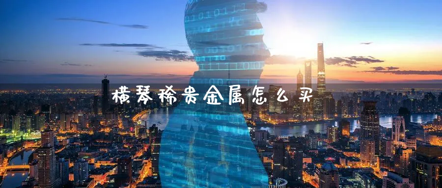 横琴稀贵金属怎么买_https://www.sjzjsgy.com_期货行情_第1张