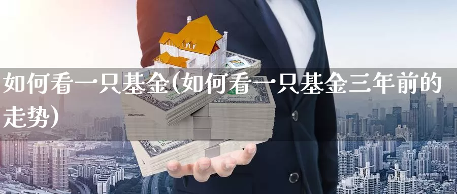 如何看一只基金(如何看一只基金三年前的走势)_https://www.sjzjsgy.com_期货入门_第1张