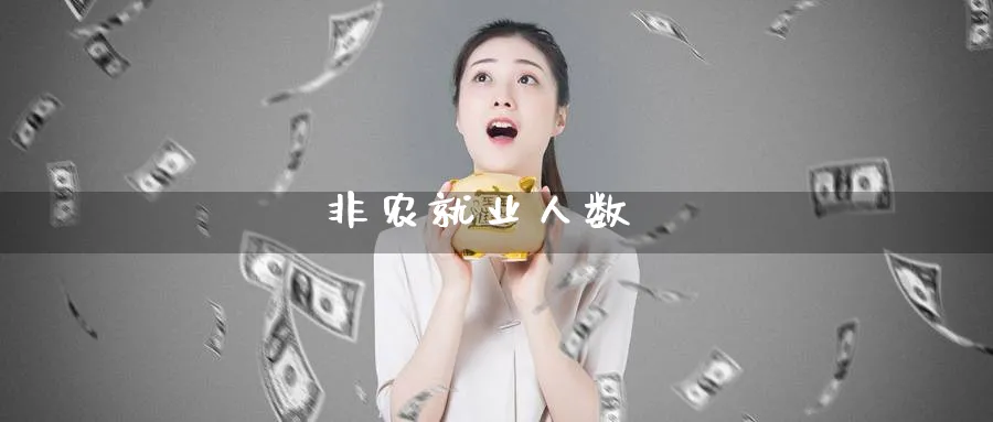 非农就业人数_https://www.sjzjsgy.com_期货入门_第1张