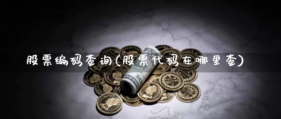 股票编码查询(股票代码在哪里查)_https://www.sjzjsgy.com_期货行情_第1张