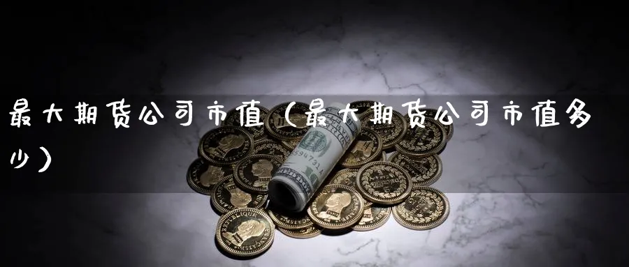 最大期货公司市值（最大期货公司市值多少）_https://www.sjzjsgy.com_外汇市场_第1张