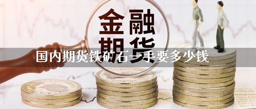 国内期货铁矿石一手要多少钱_https://www.sjzjsgy.com_外汇市场_第1张