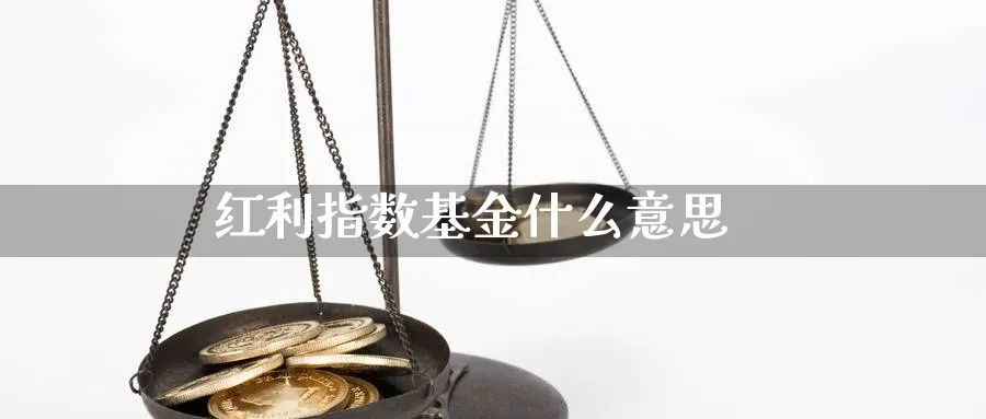 红利指数基金什么意思_https://www.sjzjsgy.com_期货入门_第1张