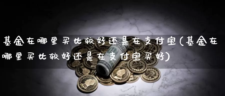 基金在哪里买比较好还是在支付宝(基金在哪里买比较好还是在支付宝买好)_https://www.sjzjsgy.com_期货市场_第1张