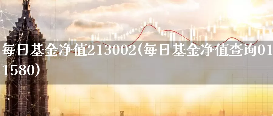 每日基金净值213002(每日基金净值查询011580)_https://www.sjzjsgy.com_商品期货_第1张