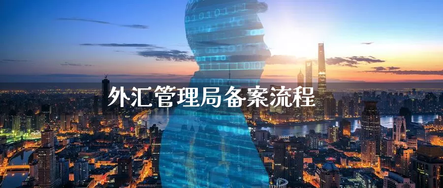 外汇管理局备案流程_https://www.sjzjsgy.com_期货代理_第1张