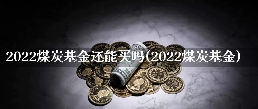 2022煤炭基金还能买吗(2022煤炭基金)_https://www.sjzjsgy.com_股指期货_第1张