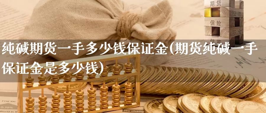 纯碱期货一手多少钱保证金(期货纯碱一手保证金是多少钱)_https://www.sjzjsgy.com_外汇_第1张