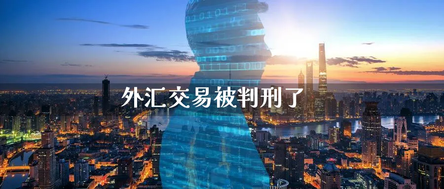 外汇交易被判刑了_https://www.sjzjsgy.com_期货入门_第1张