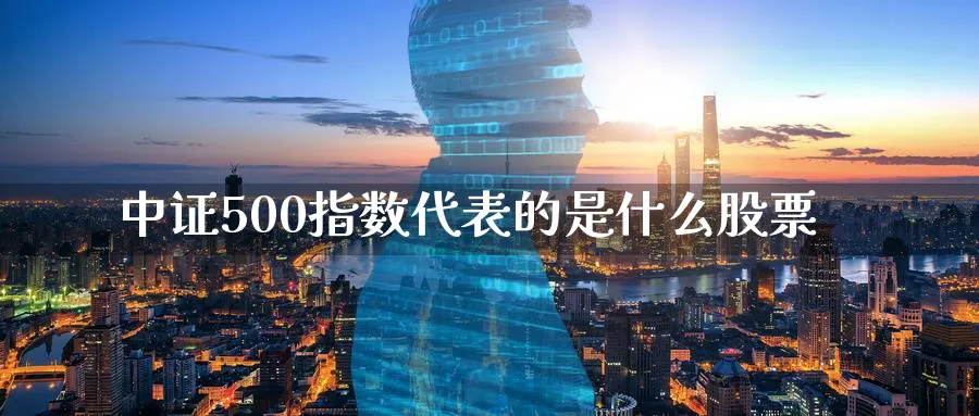 中证500指数代表的是什么股票_https://www.sjzjsgy.com_期货代理_第1张