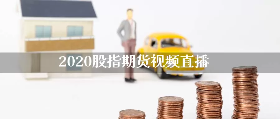 2020股指期货视频直播_https://www.sjzjsgy.com_期货入门_第1张