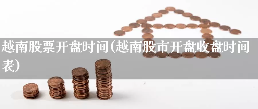 越南股票开盘时间(越南股市开盘收盘时间表)_https://www.sjzjsgy.com_外汇_第1张