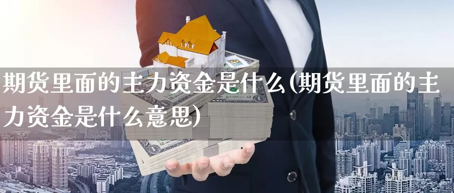 期货里面的主力资金是什么(期货里面的主力资金是什么意思)_https://www.sjzjsgy.com_期货行情_第1张